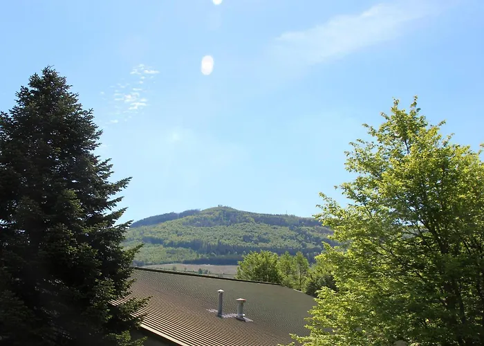 Im Tal Apartamento Olsberg